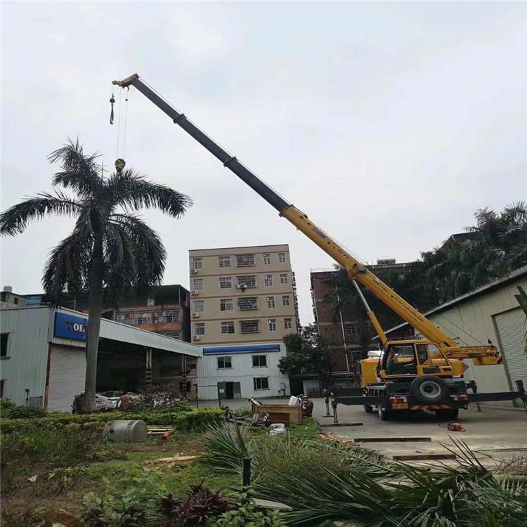 贞丰汽车吊出租多少钱？全面解析与市场行情